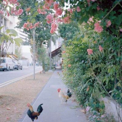 万博体育苹果下载