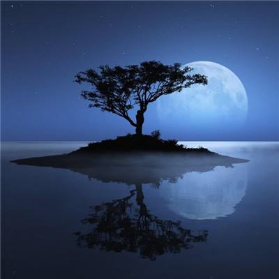 AG九游会手机app下载