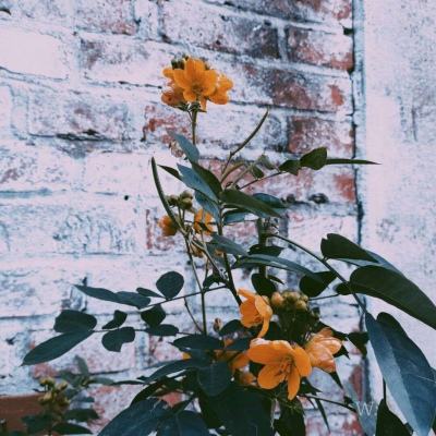 im电竞官方网站app下载