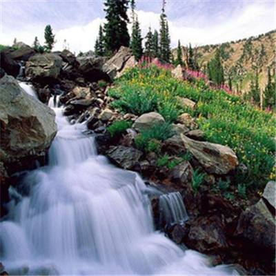 鸭脖app下载鸭脖官网