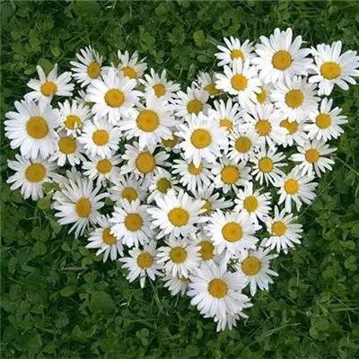 CQ9电子手机app下载